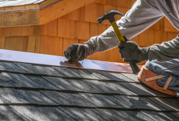 Best Roof Insulation Installation  in Muskegon Heights, MI