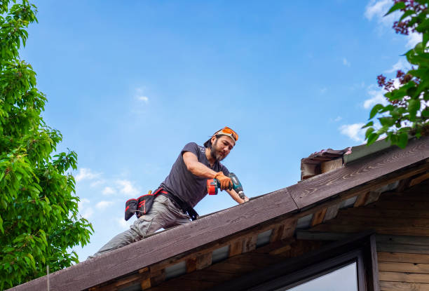 Best Green or Eco-Friendly Roofing Solutions  in Muskegon Heights, MI