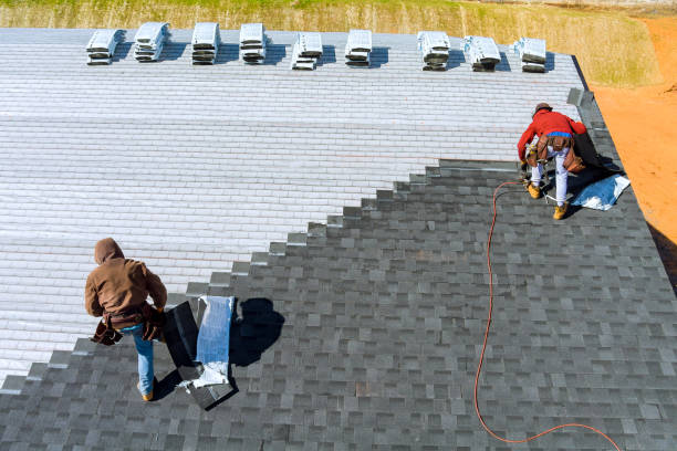 Best Chimney Flashing Repair  in Muskegon Heights, MI