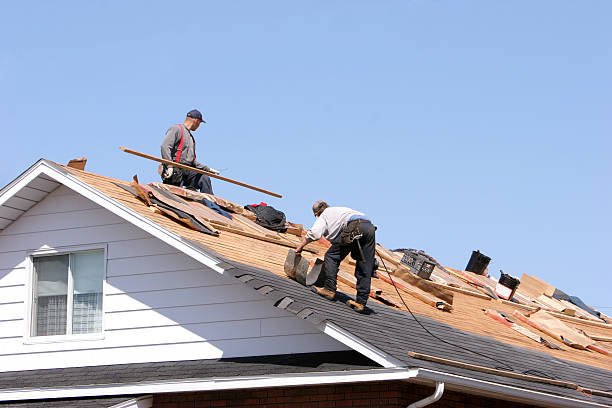 Best Solar Panel Roofing Installation  in Muskegon Heights, MI